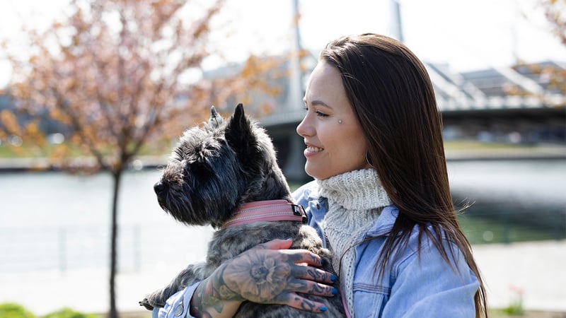 Eläintenhoitoalan palkkakyselyn tulokset 2025